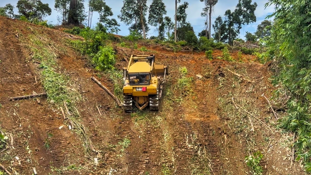 Невероятная мощность бульдозерного двигателя CAT D6R XL при подъеме на горные скалы
