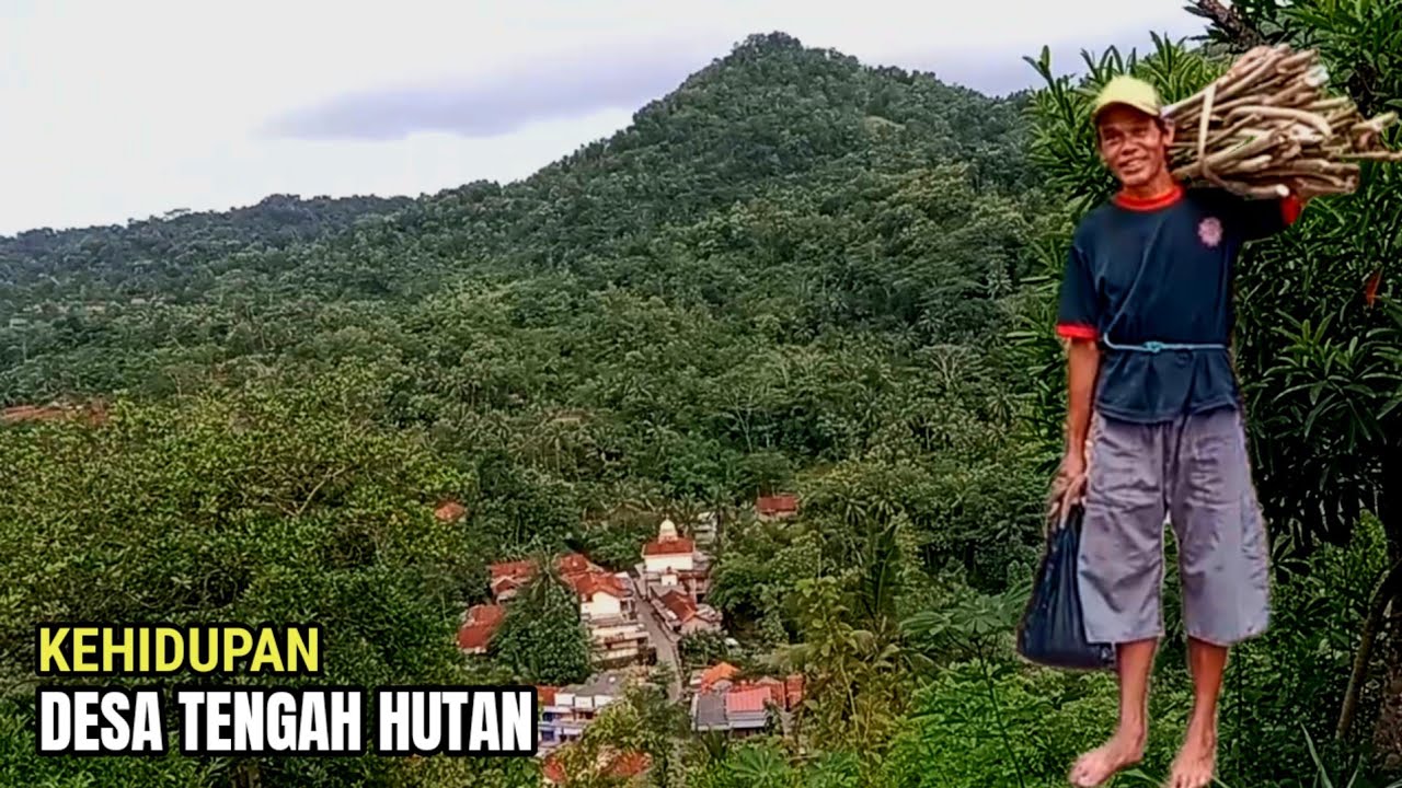 Saya Menemukan Desa Tengah Hutan di Pegunungan Kebumen Jawa Tengah Indonesia! 