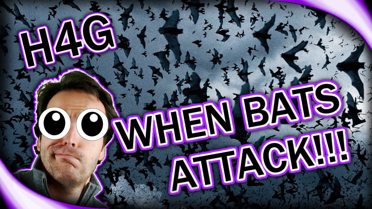 Huntin4Games Vlog #1 - Bats in the Belfry! (1080p 30fps)