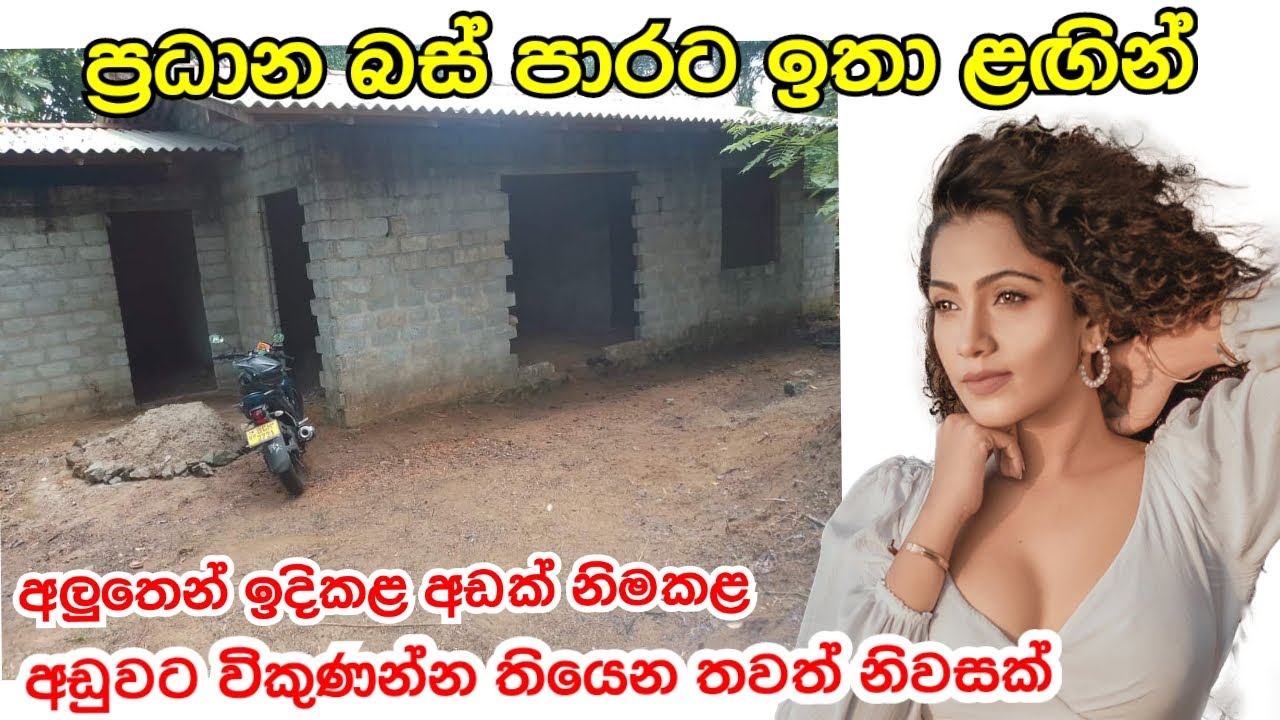 අඩු මිලට විකිණීමට ඇති තවත් නිවසක් සහ ඉඩමක් / forsalehouse #acland