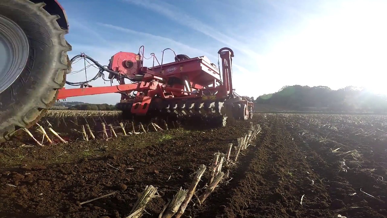 Case ih CVX 150 au semis direct dans le Finistère