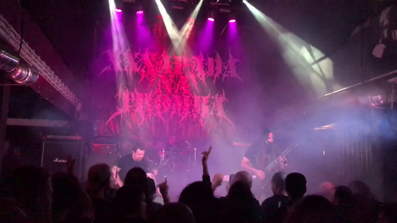 Brodequin - judas creadle - infested whith worms