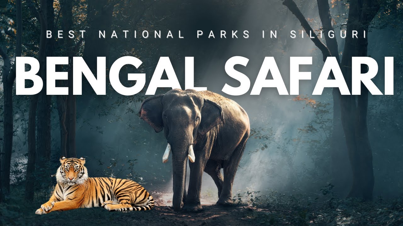 Bengal Safari Siliguri | बंगाल सफ़ारी | Zoo Detail Video | Jungle Safari park | Hindi