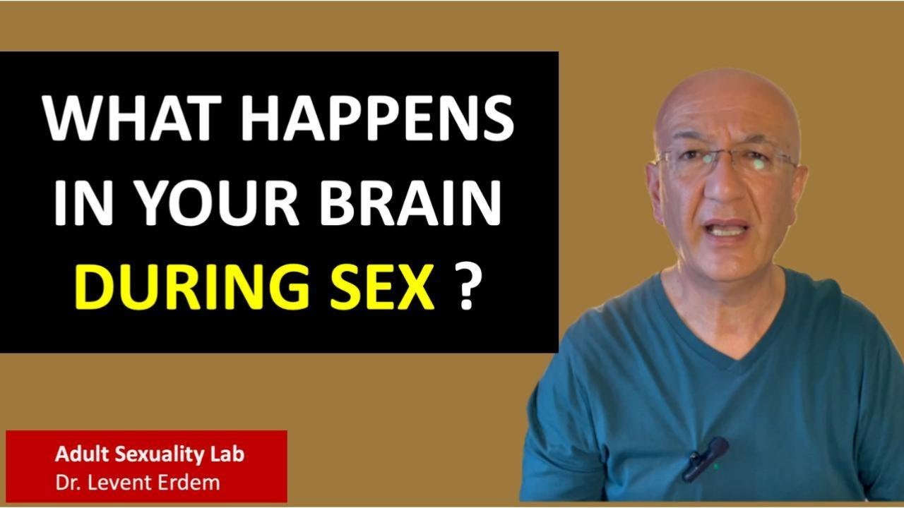 What Happens in Your Brain During Sex?