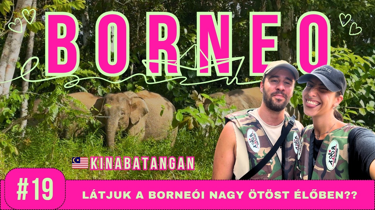 Benzin nélkül egy KROKODILOKKAL teli folyón, 40 VAD ELEFÁNTTAL szemben 🐊🐘 | Világgá mentünk 19. rész