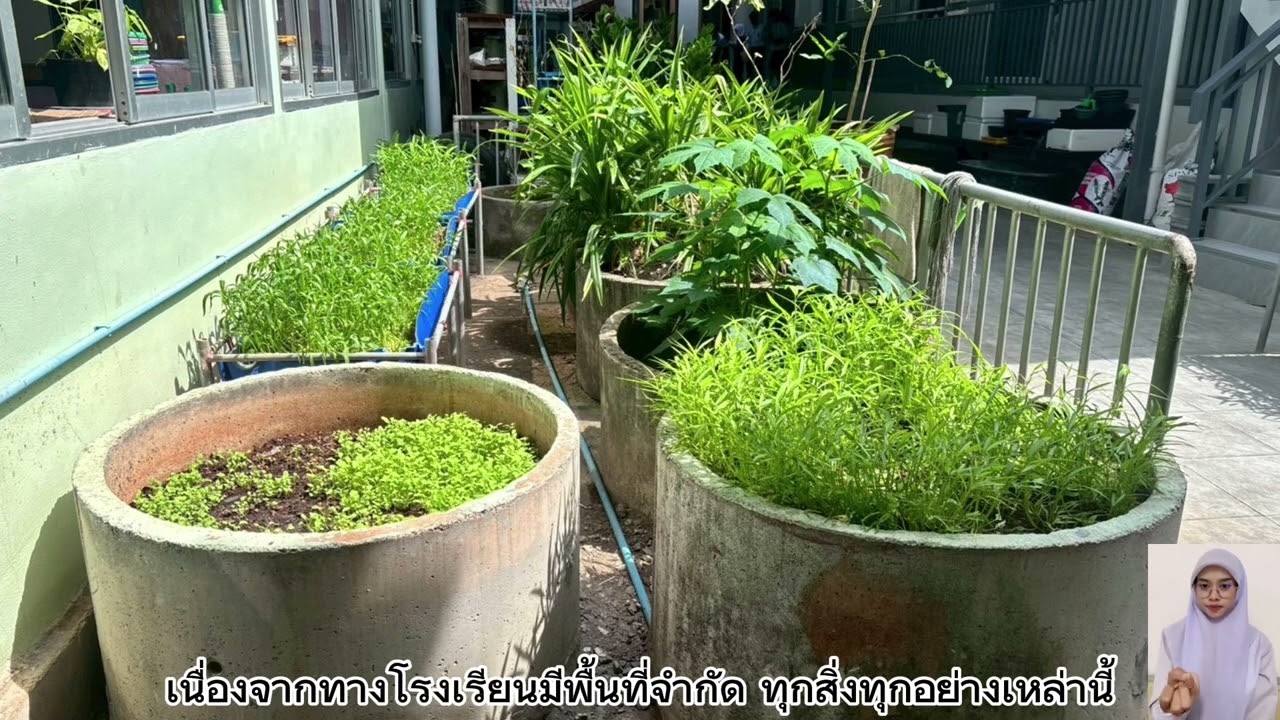 004 015 023 028 มุมเศรษฐกิจพอเพียง