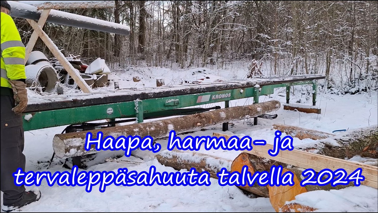 Haapa, Harmaa  ja Tervaleppäsahuuta 2024