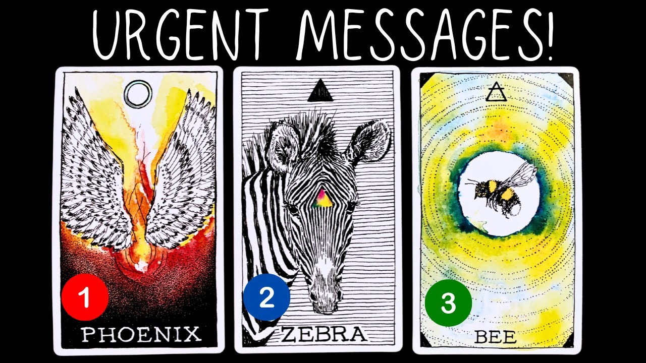 Urgent Messages From Your Spirit Guides? ⭐️ pick a card 🃏tarot card reading