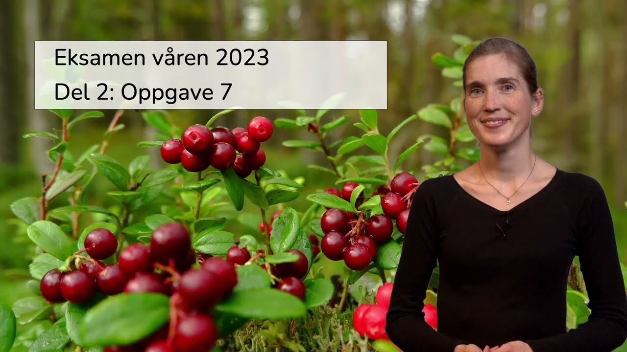 Matematikk 2P-Y: Eksamensoppgave om modellering ev en potensfunksjon