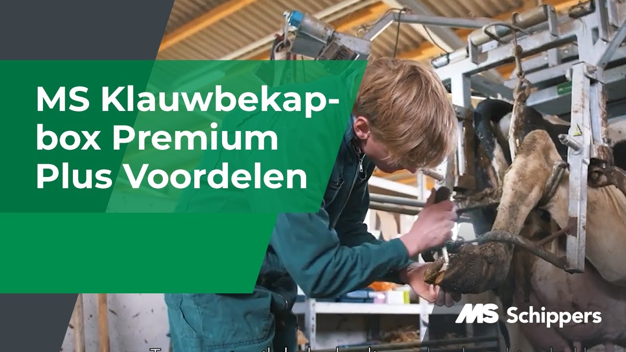MS Klauwbekapbox Premium Plus Voordelen in de praktijk (NL sub)