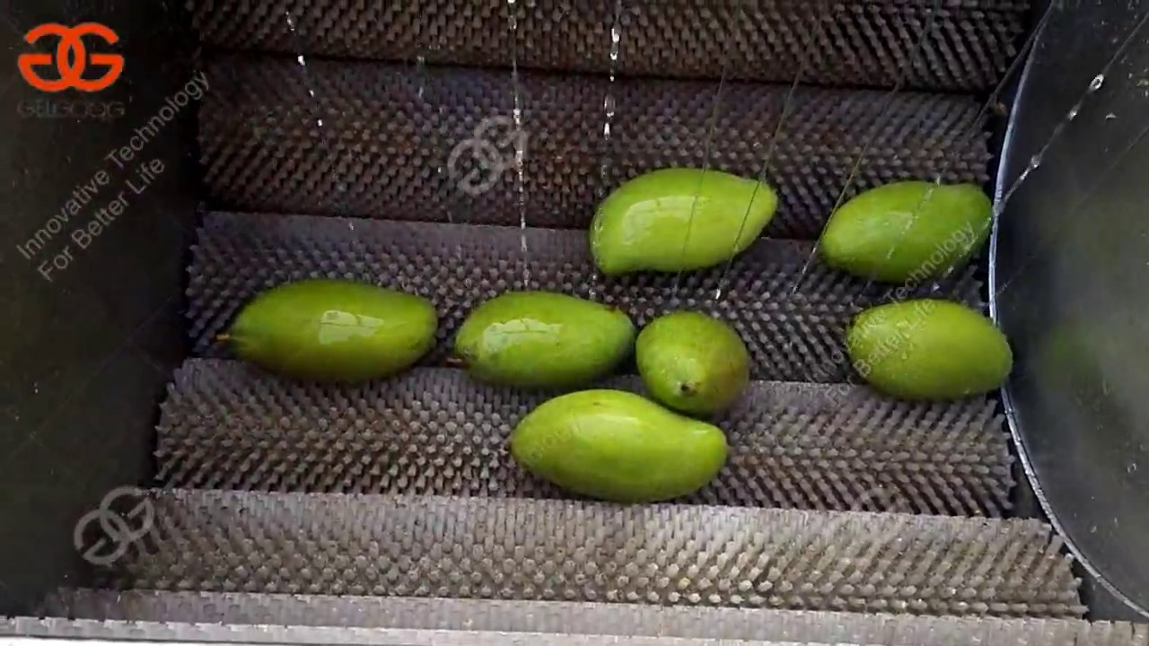small model  mango washing machine|mango cleaning machine|mango process machine