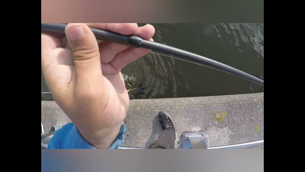 river tawe fishing