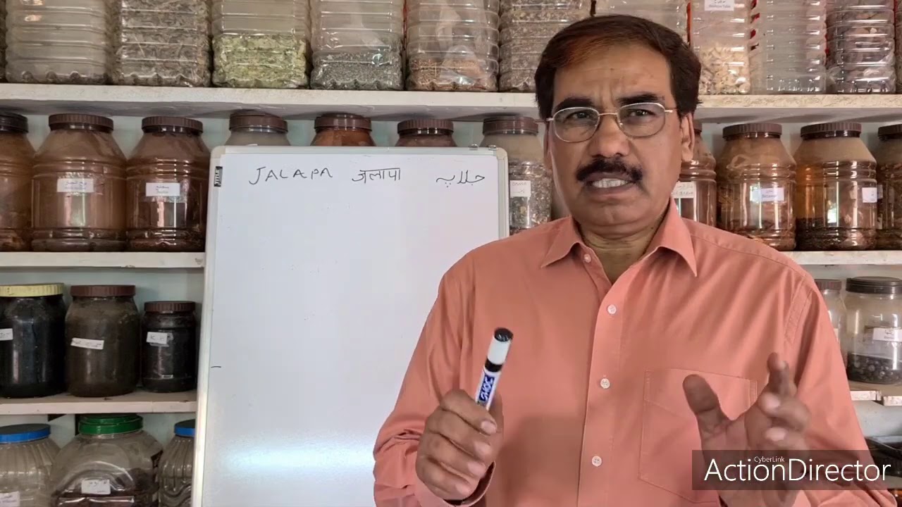 jalapa.जलापा।جلاپہ۔  a good purgative.