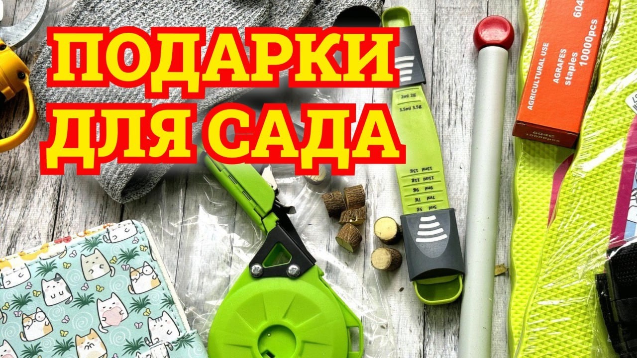Я в восторге! Эти подарки для сада ждали меня под ёлочкой