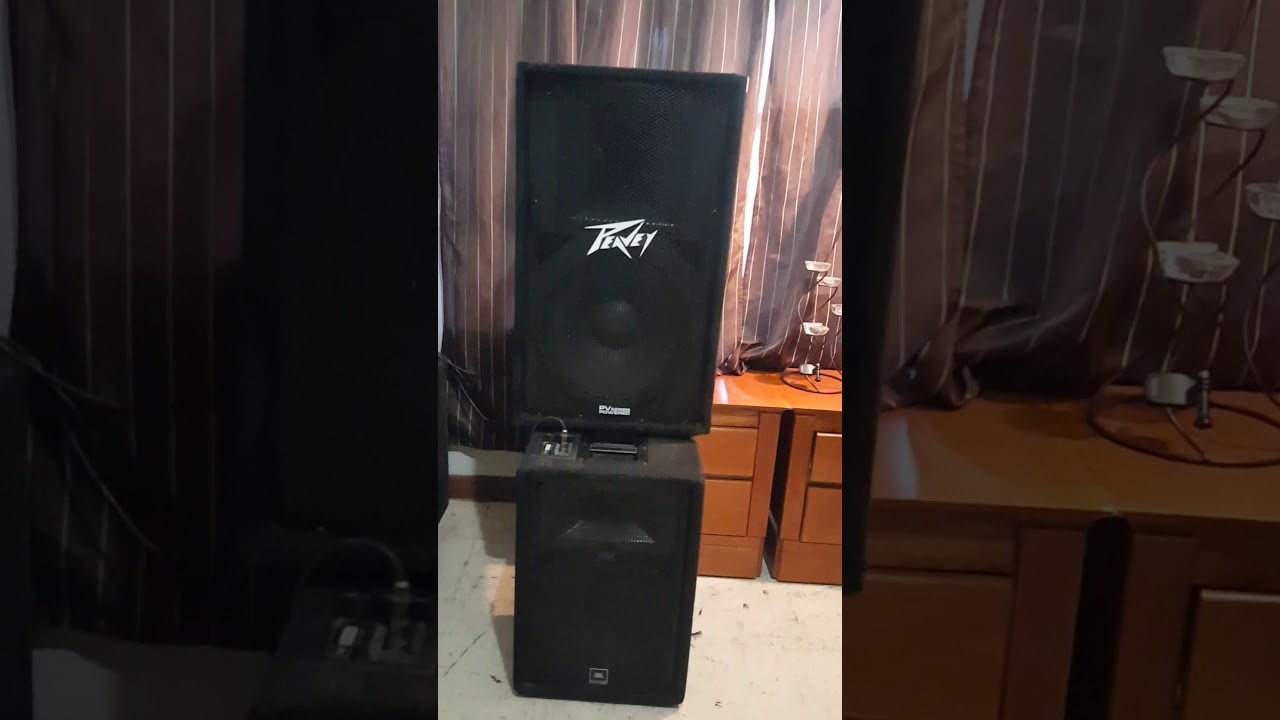 Peavey PV 115D