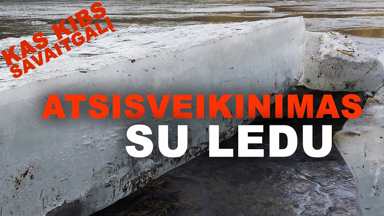 Šlakiai kimba upėse, paskutinio ledo siurprizai ežeruose. Kas kibs savaitgalį