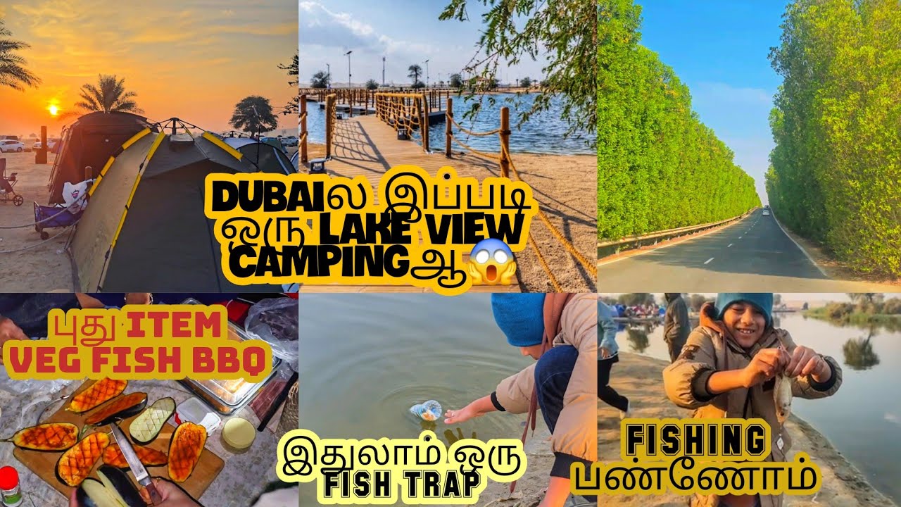 OVERNIGHT STAY AT AL WATHBA LAKE | BBQ, Games, Morning View & Fishing | UAE Tamil Vlog| YAS GALLERY
