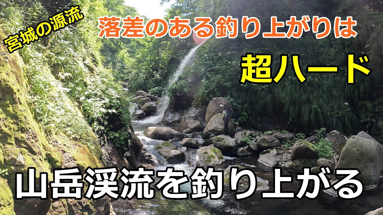 宮城の山岳渓流を釣る / 落差のある釣り上がりは超ハード / みちのく釣りの旅  ﾌﾗｲﾌｨｯｼﾝｸﾞ渓流釣り(4K) fly fishing