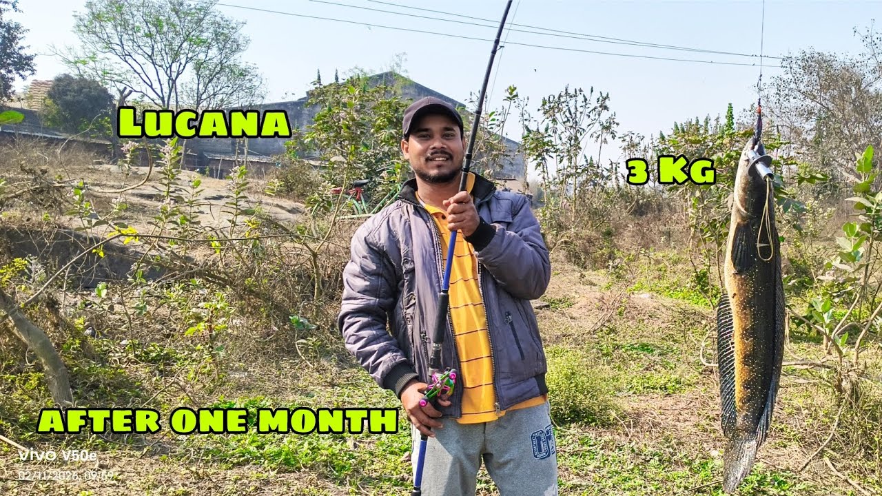 ବହୁତ୍ ଦିନ ପରେ ମାଛ ଧରିଲୁ ବଡ଼ ବଡ଼ ଶାଳ ଧାରିଲୁ ☺️ || 3 KG Big Snakehead Fish Catch 