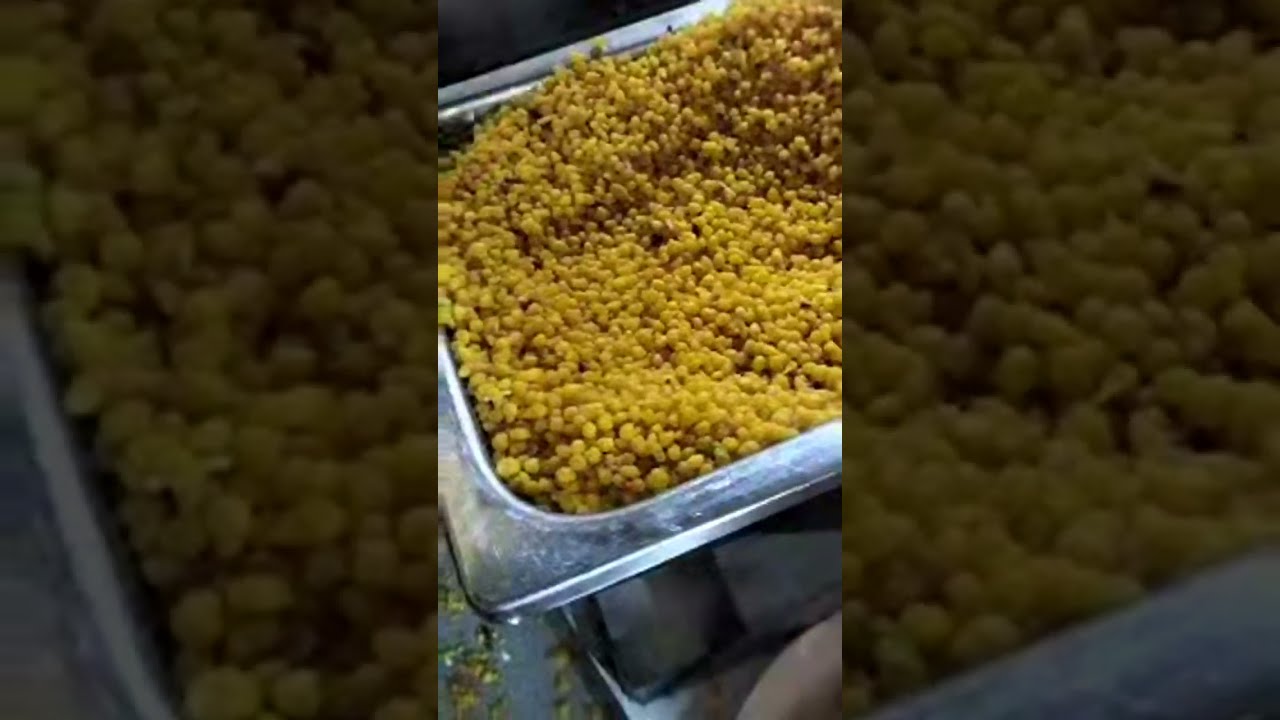 राजस्थानी गैर प्रोग्राम दिल्ली