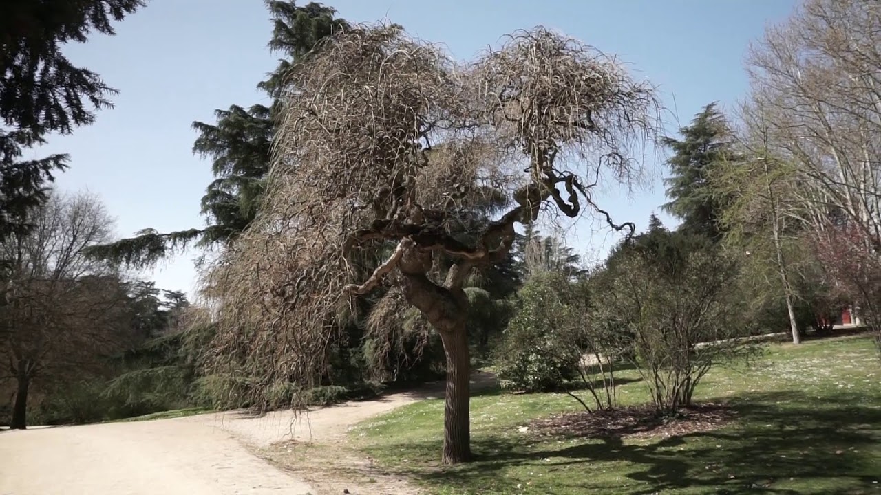 Parque del Oeste de Madrid