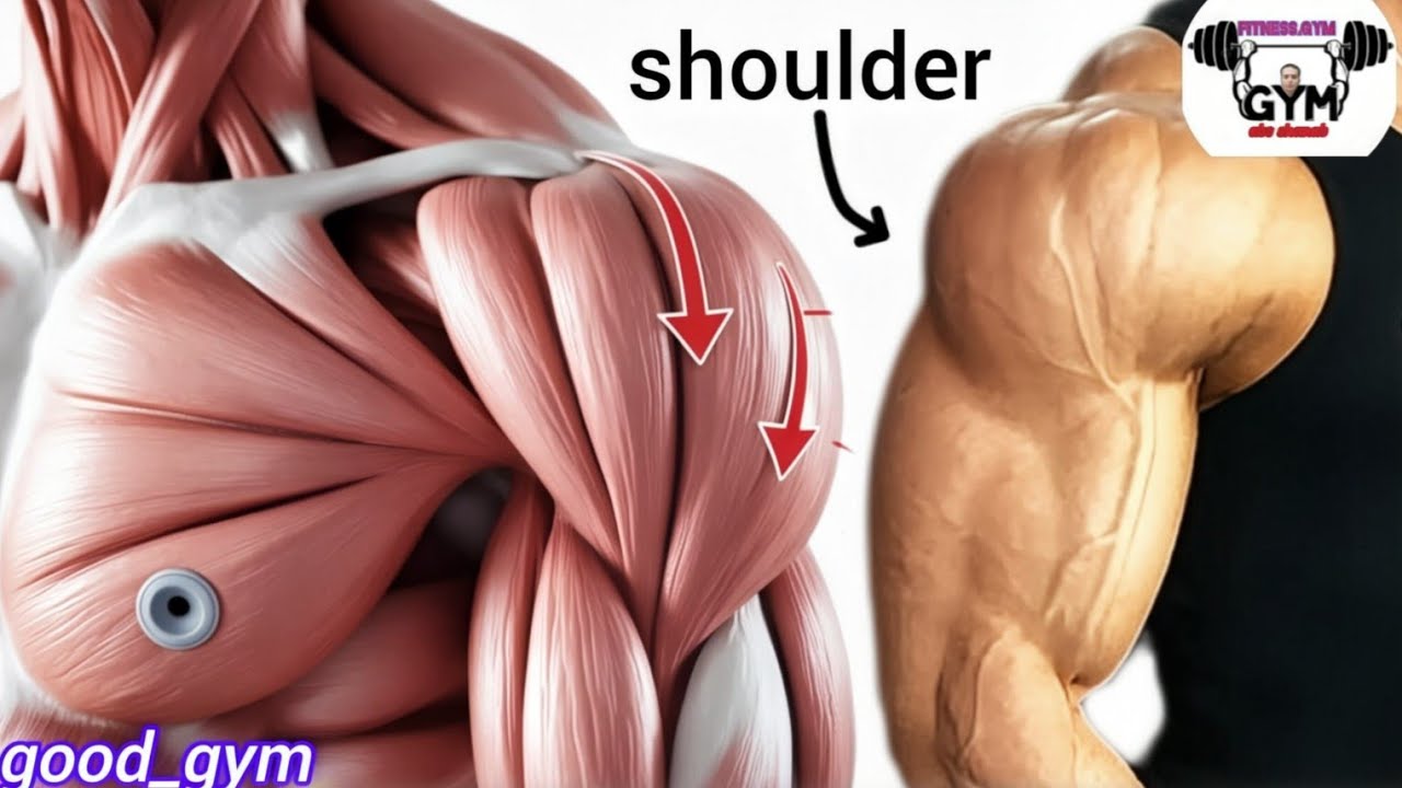 How to build your shoulder _shoulder workout at gym 