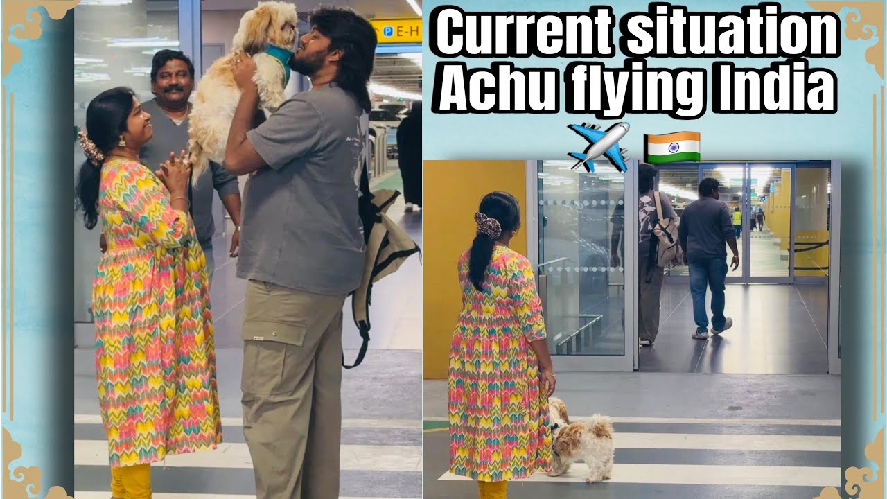 Current situation of Abudhabi Airport ✈️ Achu ooruku kelambitan 