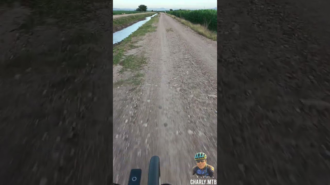 Probando el mantenimiento de mi horquilla bolany en las terracerias de la Lázaro Cárdenas 