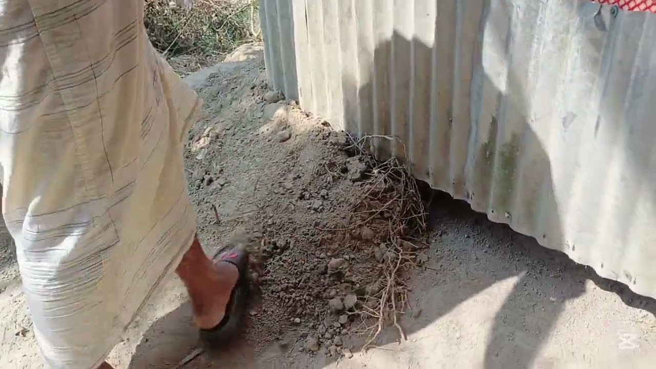 দেশি মুরগি পালনের জন্য ঘর আলহামদুলিল্লাহ