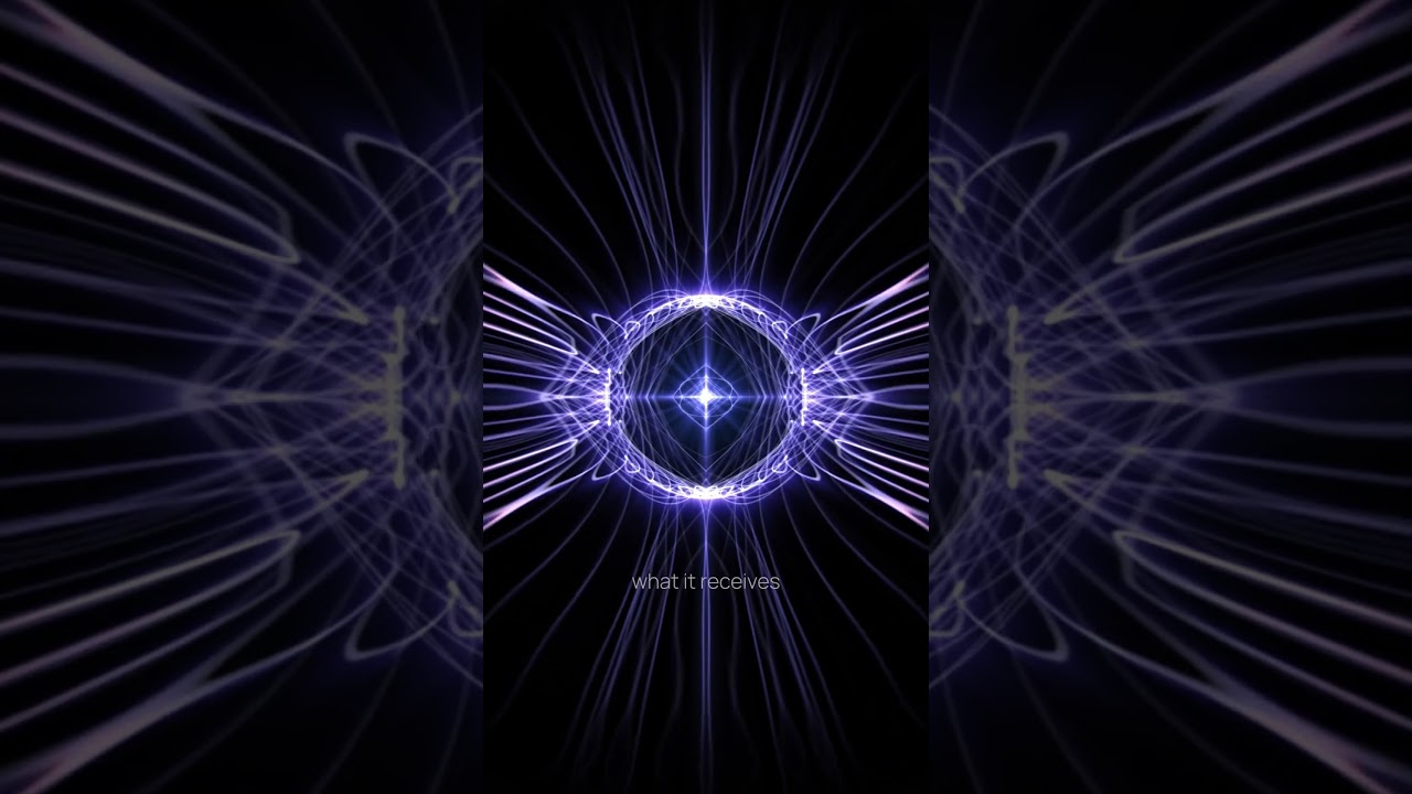 Perception Is Not Passive | Consciousness as a Participatory System