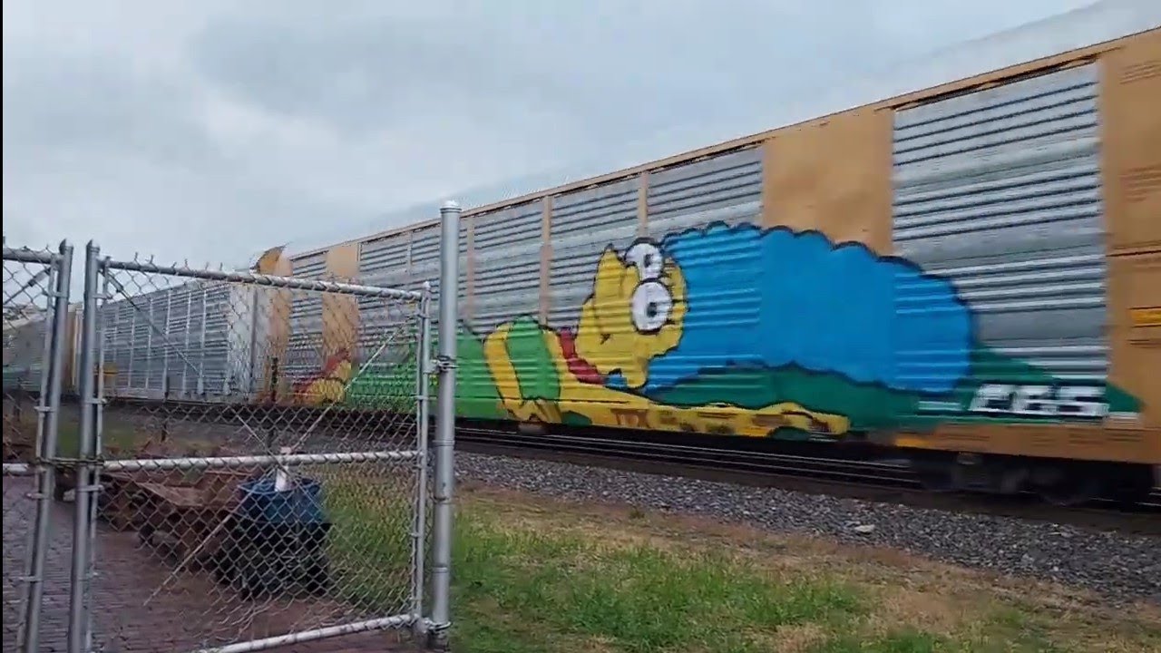 Simpsons graffiti on the first CSX train at painsville depot, 2 trains