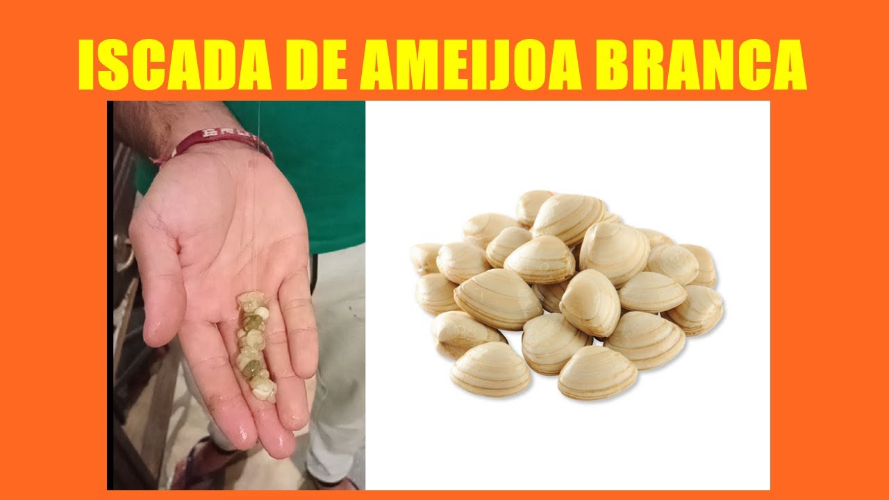 COMO ISCAR AMEIJOA BRANCA - PESCA SURCASTING