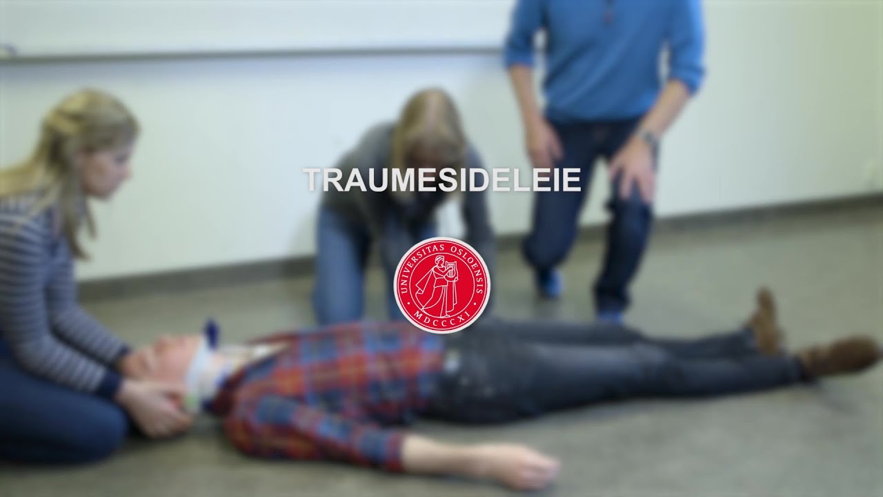 Traumesideleie