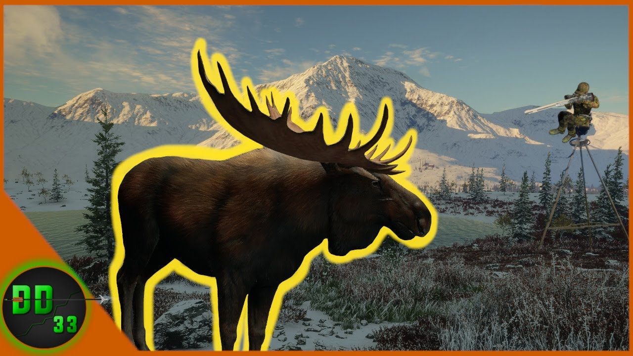 The Most UNBELEIVABLE Follow Up On Our Biggest Bull Moose! Call Of The Wild