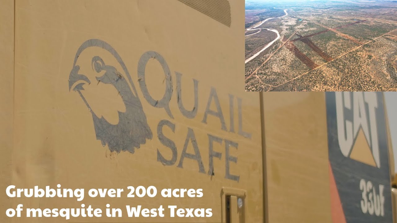 CAT 330FL Grubbing Mesquite Trees in West Texas, The Impact of Mesquite, and a Wild Conspiracy