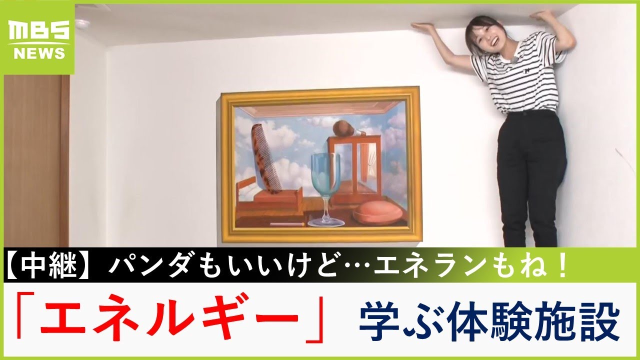 アトラクションで「エネルギー」学ぶ『白浜エネルギーランド』　パンダめぐり…変わらぬ思い「自分たちは自分たちで頑張らないと」【新人アナ・上田芹莉のパンダびと】【現場から生中継】（2025年6月18日）