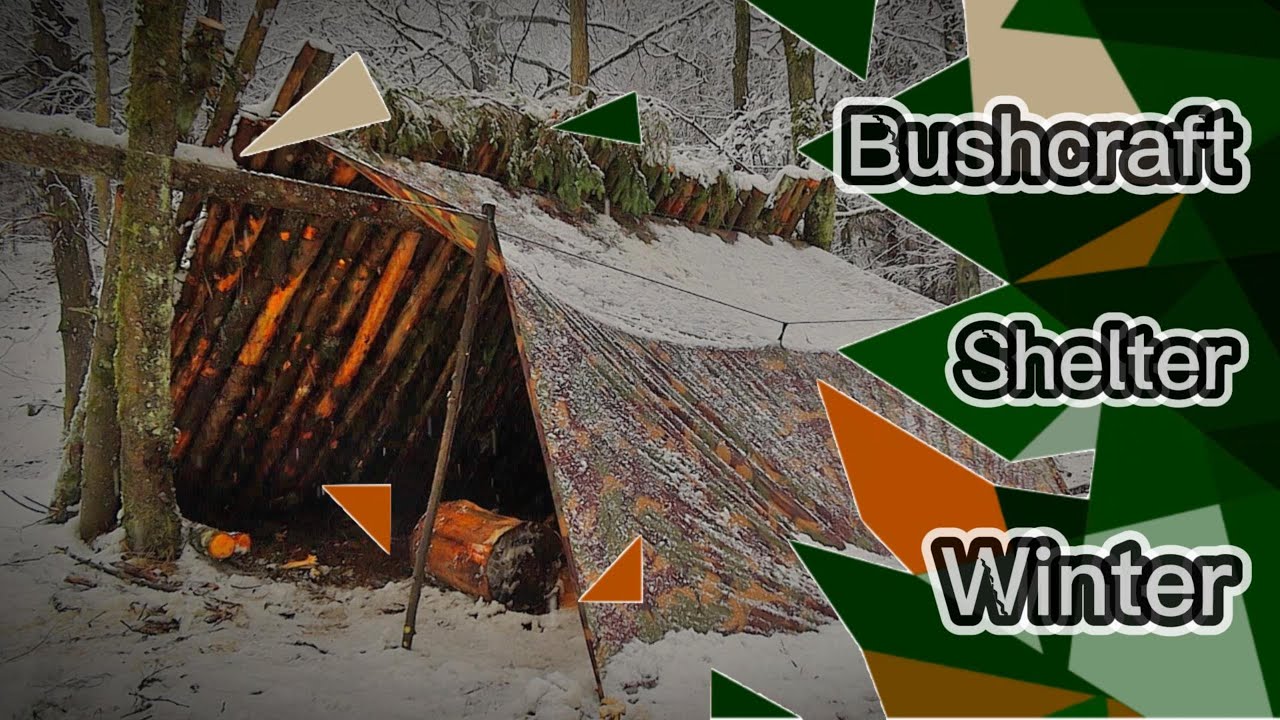 Bushcraft Survival Shelter | Wildschwein will Steak | Winter Solo Overnight | Biwak