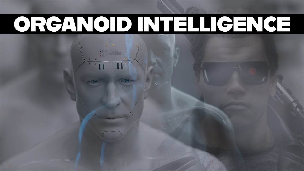 Organoid Intelligence Overtaking AI
