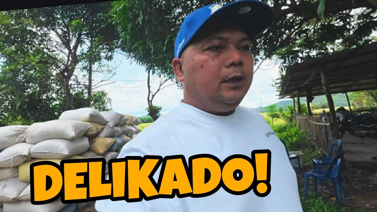 DELIKADO KAILANGAN MA HARVEST KAAGAD