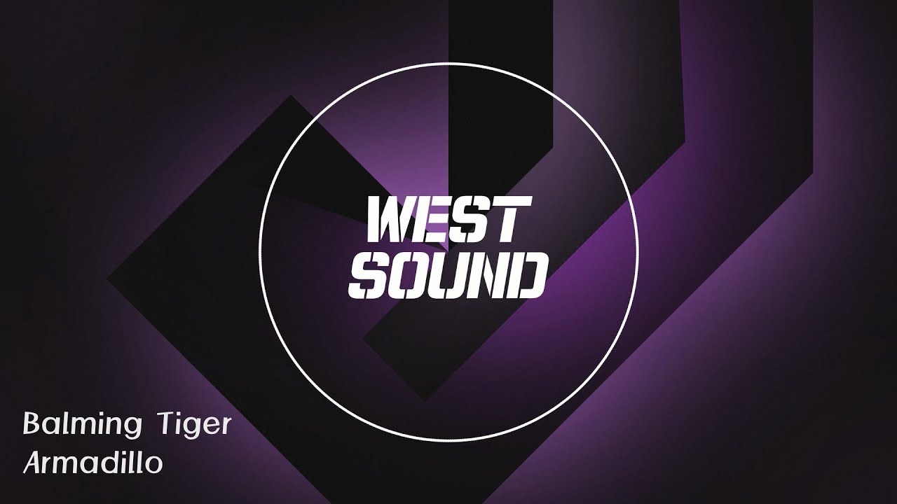 [MR/Inst] 바밍 타이거 (Balming Tiger) - Armadillo (Feat. Omega Sapien, Byung Un)