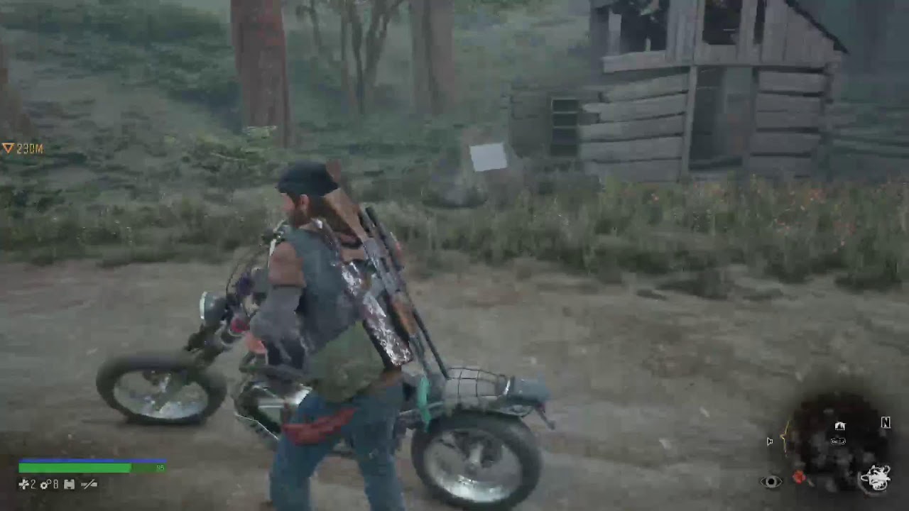 Days Gone