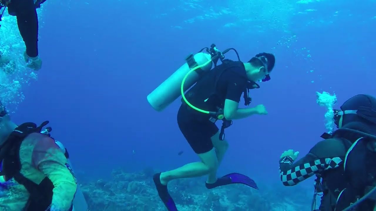 Cozumel Mexico Dive #2