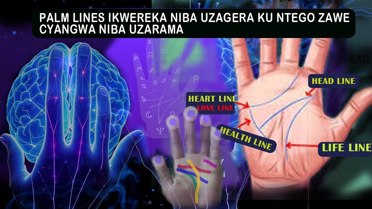 UBURYO IMIRONGO YO MU KIGANZA IKWEREKA IMYAKA UZAMARA, KUGERA KU NTEGO ZAWE N'AHO IHURIYE N'UBWONKO