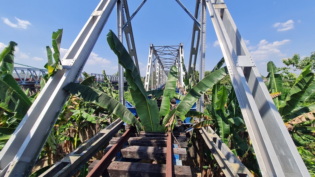 TUMBUH POHON PISANG DI ATAS JEMBATAN KERETA API !