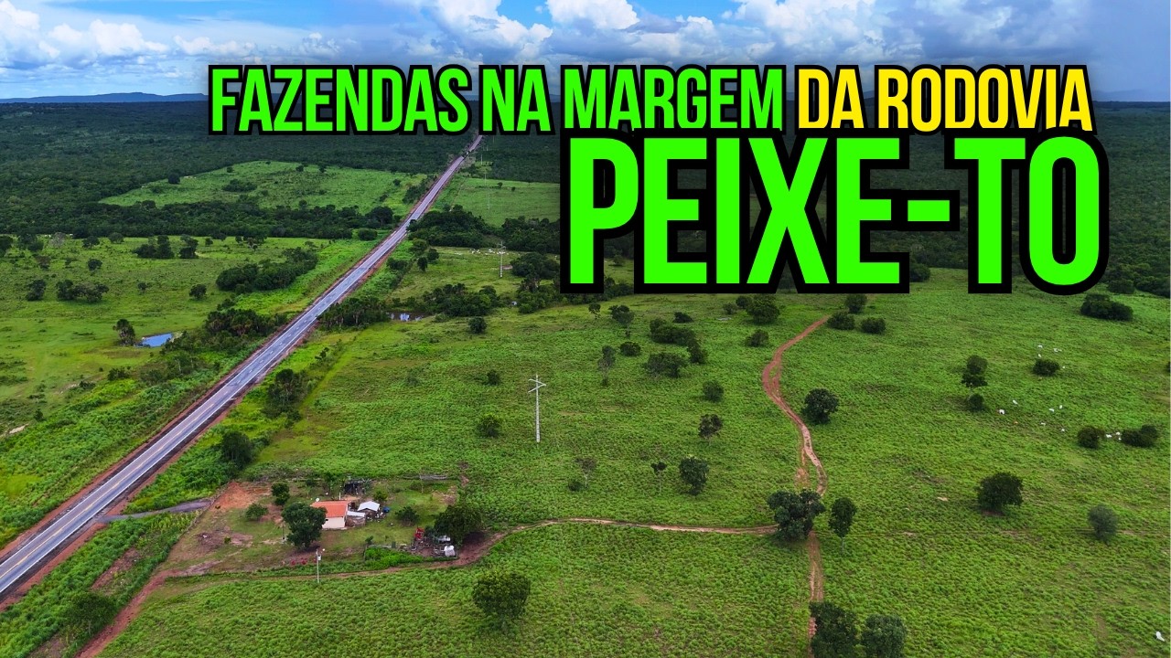 A MELHOR FAZENDA À VENDA NO TOCANTINS DE PORTEIRA FECHADA