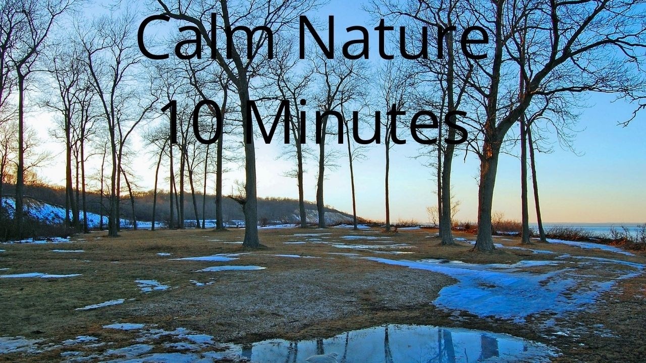 Calm Nature for Relaxation | 10 Minute Peaceful Outdoor Scenery (No Talking)