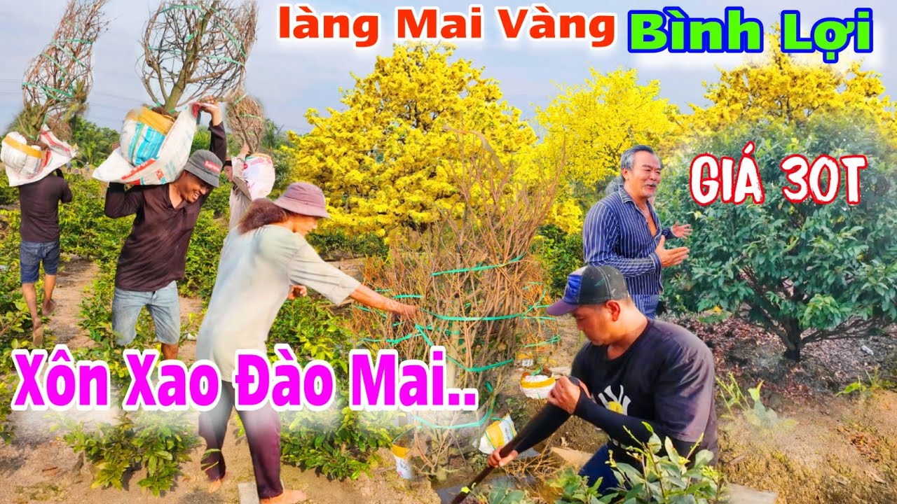 Làng Mai Bình Lợi