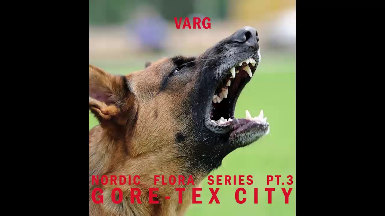 Varg - Nordic Flora Series Pt. 3: Gore​-​Tex City [NE39] (Full Album)