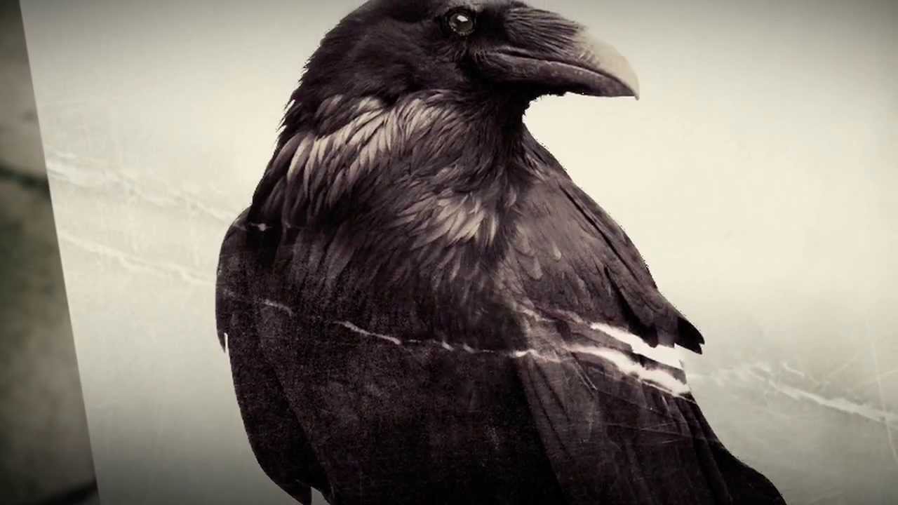 Mateusz M. Lemberg - ZASŁUGA NOCY