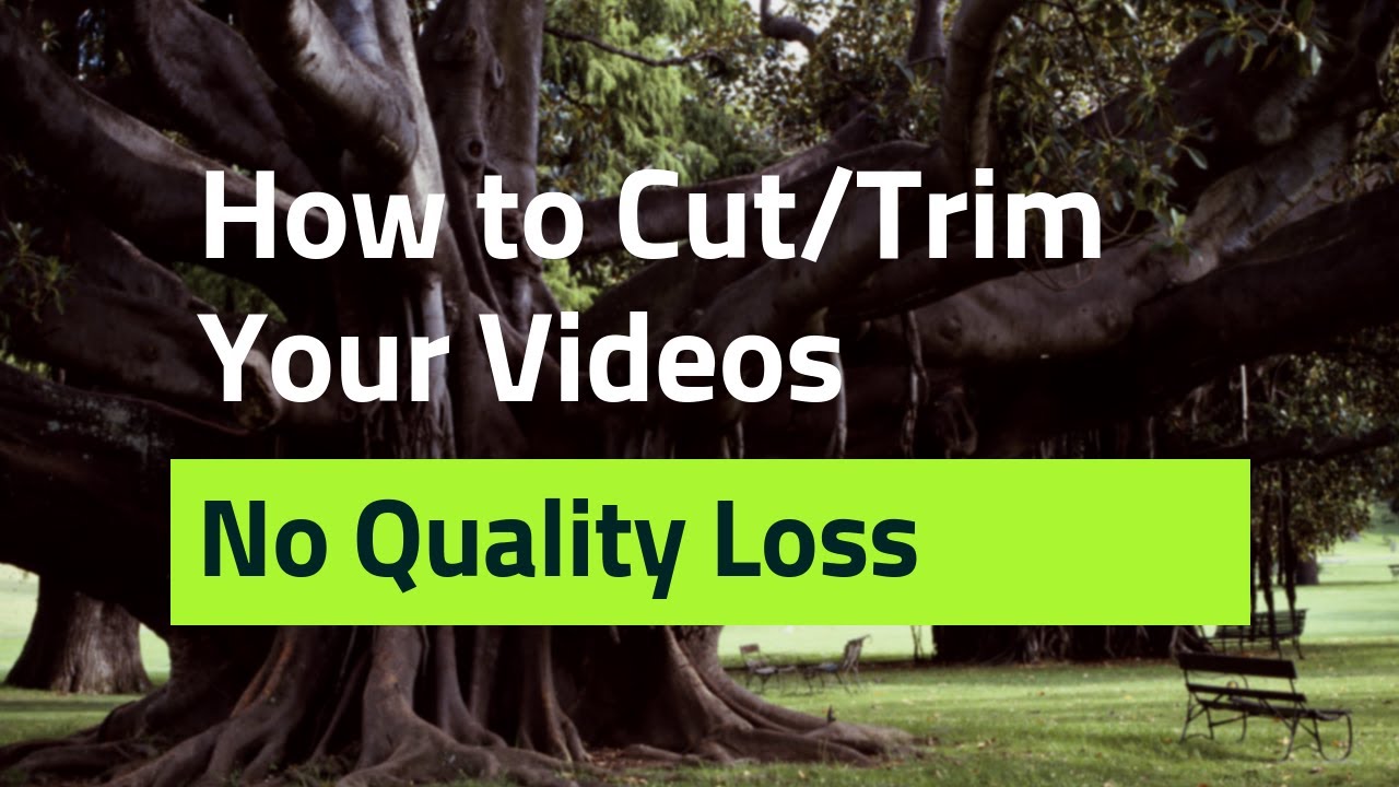 How to Trim A Video on Windows (Simple & Quick Tutorial)
